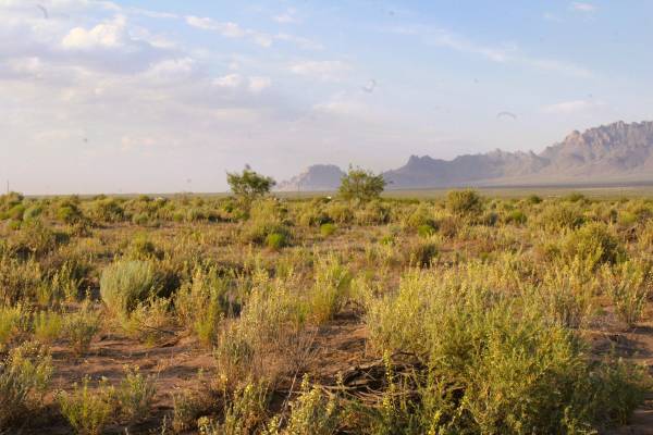 ¡Escapa a 2 acres de tierras paisajísticas del suroeste por $5,600! (Deming, NM)63861850899075122