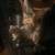 FERRETS 1 thumbnail