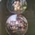 Hummel 8" Plates (12) "Little Companions" - Price Negotiable 5 thumbnail