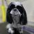 Pet Grooming 2 thumbnail