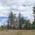 Princeton BC 1.999 Acres Land for Sale by Owner 15 thumbnail