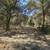 7.5 Acres for Your Dream Estate or Cabin in Hardee County, FL! — photo 7