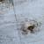 Vintage Solid Wood Door - Heavy 5 thumbnail