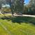 Lawn Maintenance / mulch / Yard Cleanup 13 thumbnail