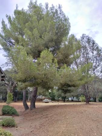 $1,755 / 2br - 827ft2 - MOVE IN SPECIAL! $100.00 OFF RENT FOR 12 MONTHS (Auburn)63952111786754122