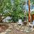 **Rare Opportunity: Private Sanctuary with Creative Space + Possible W 14 thumbnail