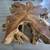 Teak root coffee table solid wood live edge wood table 48"x48" LARGE 2 thumbnail