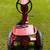 ERTL Pedal Tractor 8 thumbnail