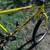 TREK MOUNTAIN BIKE 830 21 speed bicycle made in the USA 5 thumbnail