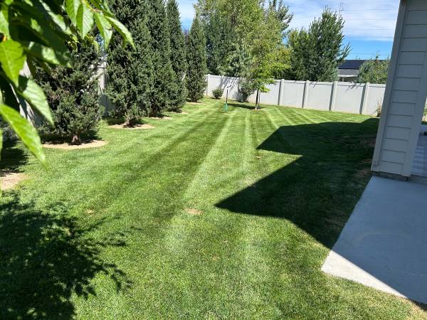 Mowing 1