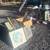 HUGE YARD SALE 13 thumbnail