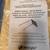 Sevylor motor mount for inflatable boat 1 thumbnail