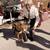 Dog Training Offered! 12 thumbnail