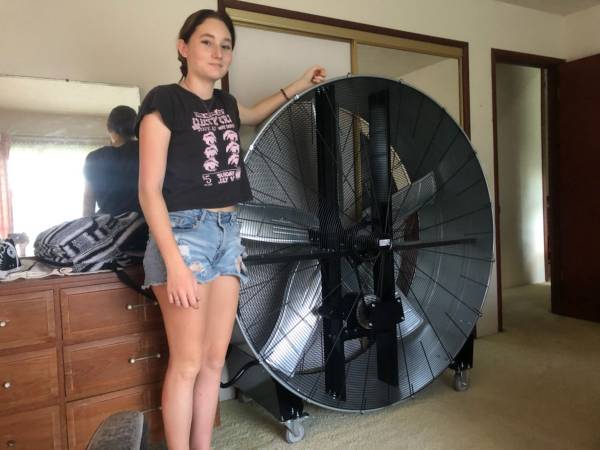Large fan 1