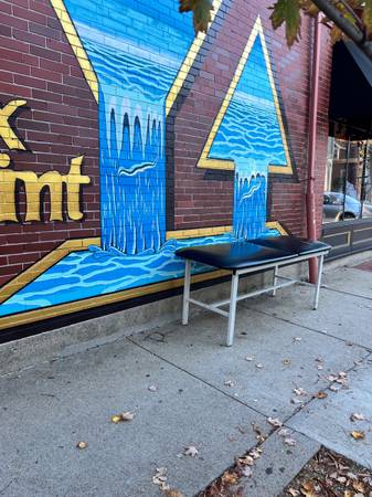 CURB ALERT Exam table 1