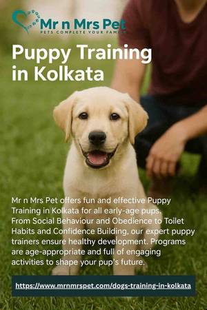 Puppy Training in Kolkata 1