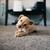 Carpet & Upholstery Cleaning You Can Trust — Homes & Businesses 19 thumbnail