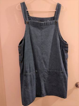 Coverall Denim Dress 1