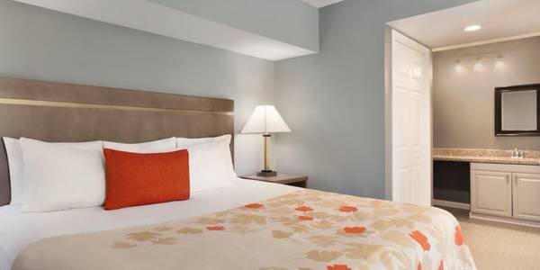 $429 Programa de Recompensas Siegel, ¡Ubicado en Holland!, Estudio 1BA63836552651137122