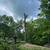 BENAVIDES LANDSCAPING & TREESERVICES 22 thumbnail