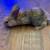 Rabbits 3 thumbnail