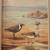 1933 Traveling with the Birds 12 Walter Alois Weber Illustrations 12 thumbnail