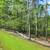 5.81 Acres with Multiple Uses in the Heart of Dahlonega 4 thumbnail