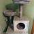 Multi Level Cat Tree 3 thumbnail