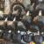 70 LB.  KETTLEBELL  •  I also have 100s 97s 88s 80s 60s 55s 53s s 50s 45s 40s 3 thumbnail