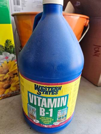 Vitamin B 1 for plants 1