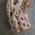 Nice Piece Curvey Cholla  Driftwood 18" Found On Beach In SINY Circa 1980's 8 thumbnail