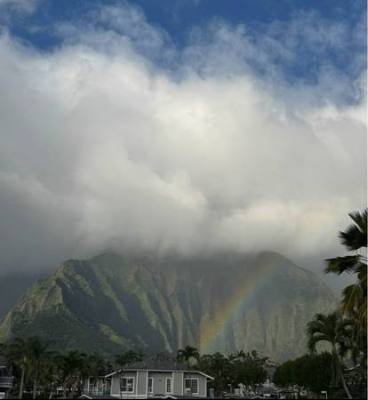 $3000.00 / 2br - 716ft2 - 2BR / 1BA | Koolau Mountain Views | 2 Covered Parking | W/D in Unit |63939531843714124