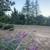 Sebastopol Countryside 1 bd. 1bth. ADU 4 thumbnail