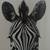 Zebra head print 3 thumbnail
