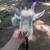 Two Nigerian goat wethers 4 thumbnail