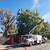 Tree service hiring experienced help 9 thumbnail