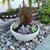 Concrete Planters – Small, Medium, Large or Full Set – Modern & Durabl 2 thumbnail