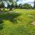 burial space in historic Frederick, Maryland, cemetery 3 thumbnail