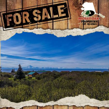 Beautiful mostly level parcel of land along the Sterling Hwy 1