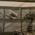 Tilta Float Gimbal System - Great Condition, $600 7 thumbnail