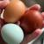 Hen Layers 3 thumbnail