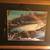 Framed Wildlife Prints 9 thumbnail