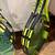 Babolat Tennis Rackets 8 thumbnail