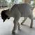 Boer goats Nubian goats for sale chivas de venta 12 thumbnail