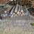 Posts rails spindles pine and tamarak 2 thumbnail