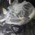 Evenflo PIVOT stroller lite max carseat set NEW 6 thumbnail
