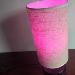 Programmable Memory Light 1