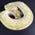 Ball python 1 thumbnail