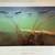 Jim Brandeberg Turtle and Water Lilies Framed Print 6 thumbnail