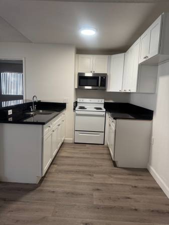 Very Spacious Modern 2 bd/2ba for rent 1